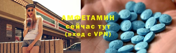 трава Богородицк