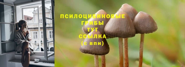 СК Нея