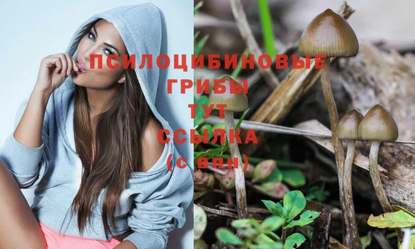 МДПВ Нефтекумск