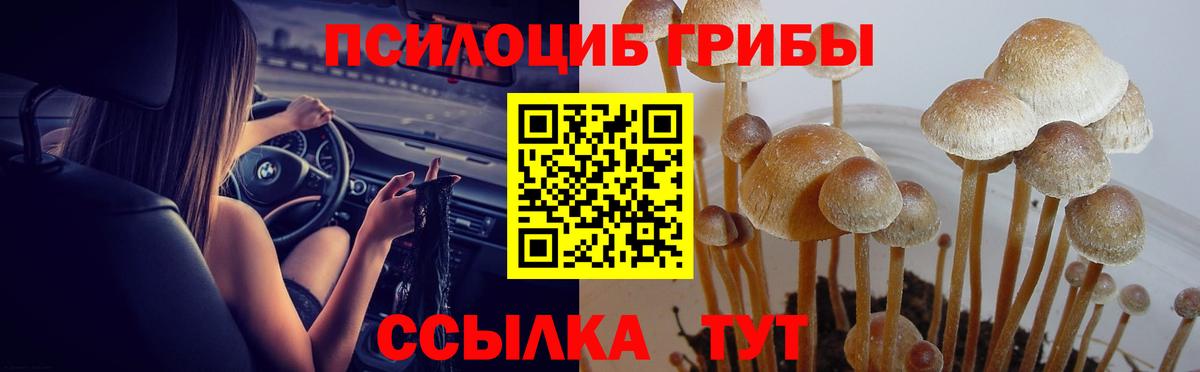 Псилоцибиновые грибы Magic Shrooms  Галлюциногенные грибы Magic Shrooms  Вход с VPN  что такое наркотик  Рубцовск 